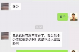 北戴河为什么选择专业追讨公司来处理您的债务纠纷？